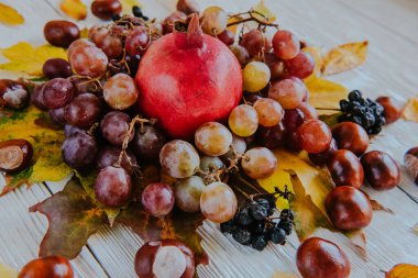 Sonbahar hala hayattır. elma, balkabağı, nar, viburnum, yapraklar.