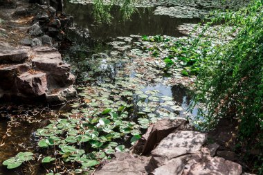Zhejiang Jiaxing Güney Gölü Sahne Parkı.