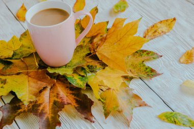 Kahve fincanı ve sarı sonbahar yaprakları. Durgun hayat, üst bakış açısı, düz yatak..