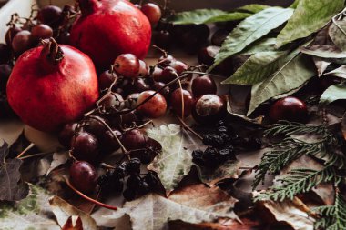 Sonbahar hala hayattır. elma, balkabağı, nar, viburnum, yapraklar.