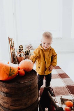 İki yaşındaki havalı hippi çocuk, sonbahar dekorunun süslü fotoğraf sahasında güzel, parlak sonbahar yapraklarıyla poz veriyor. Sıcak atmosfer