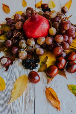 Sonbahar hala hayattır. elma, balkabağı, nar, viburnum, yapraklar.