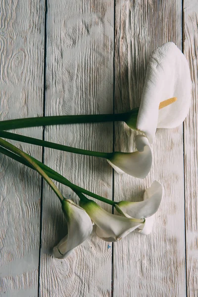 Mockup Branco Calla Flores Fundo Madeira Branco Flat Lay Fundo — Fotografia de Stock