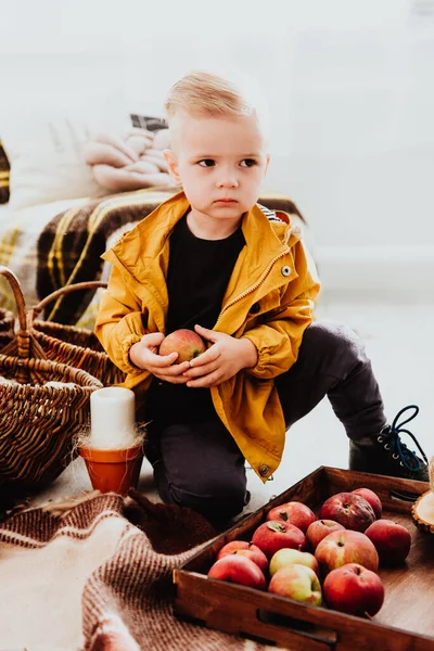 2岁的帅气时髦的嬉皮士男孩穿着黄色夹克 摆设在装饰精美的秋叶光彩夺目的秋光区 凉爽的气氛 — 图库照片