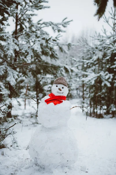 Snowman Standing Winter Landscape — Stock Photo, Image