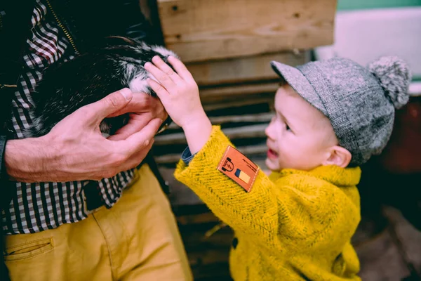 Little Boy Looking Animal Farm Countryside — Stock Photo, Image