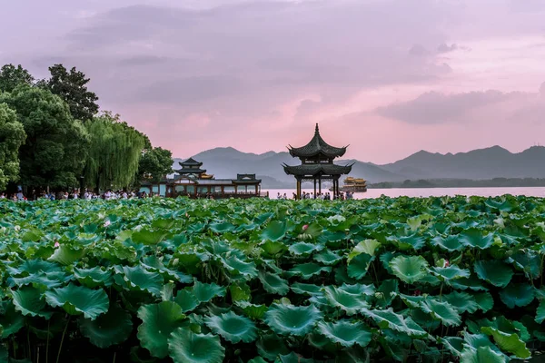 Vacker Västra Sjön Landskap Landskap Med Solnedgång Hangzhou Kina — Stockfoto