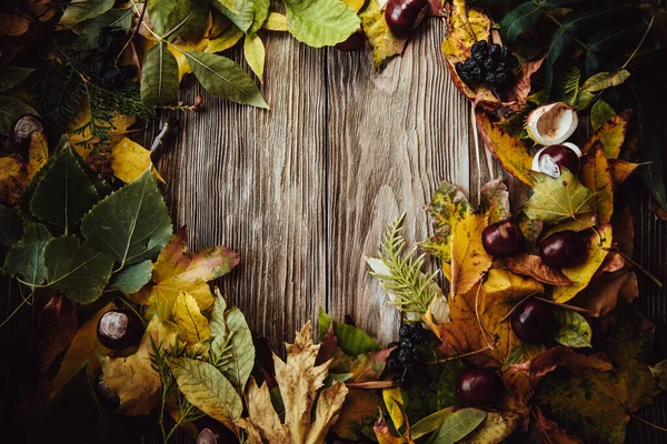 Podzimní Dřevěné Pozadí Zelenými Žlutými Listy Flatlay — Stock fotografie