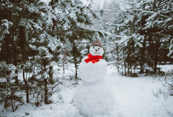 Snowman Standing Winter Landscape — Stock Photo, Image