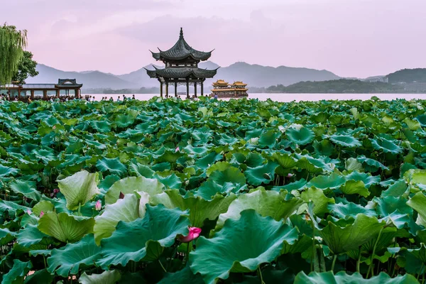 美丽的西湖风景 中国杭州落日的风景 — 图库照片