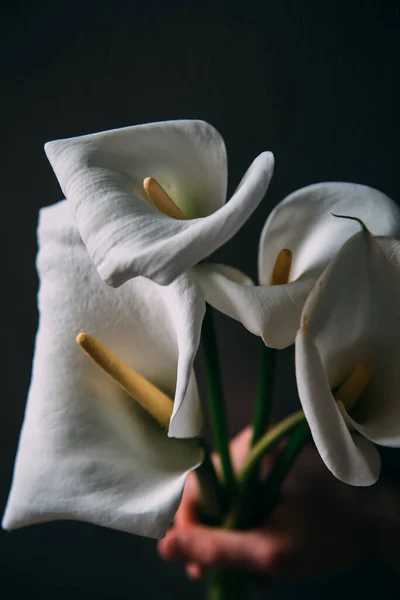 Mockup Branco Calla Flores Fundo Madeira Branco Flat Lay Fundo — Fotografia de Stock