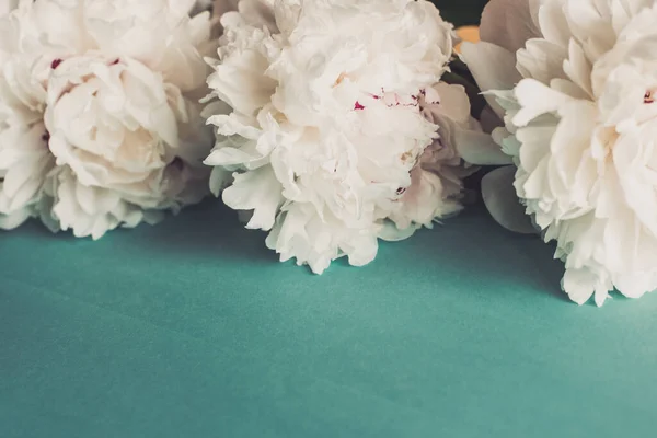 Flores Brancas Peônia Fresca Com Moldura Papel Perto Espaço Cópia — Fotografia de Stock