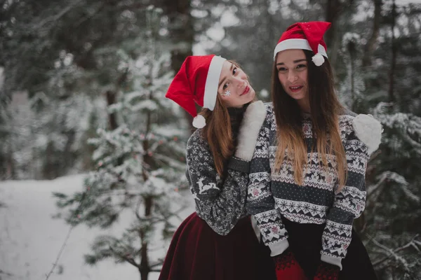 Zwei Junge Teenager Hipster Freundinnen Zusammen Nahaufnahme Modeporträt Zweier Schwestern — Stockfoto