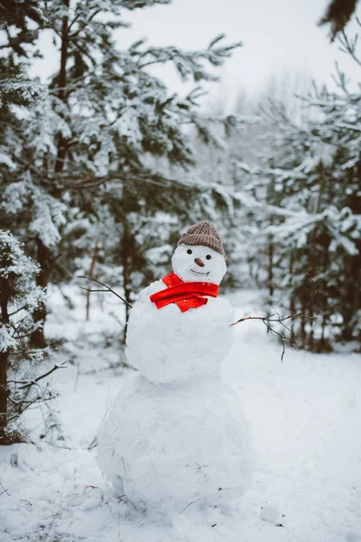 Snowman Standing Winter Landscape — Stock Photo, Image