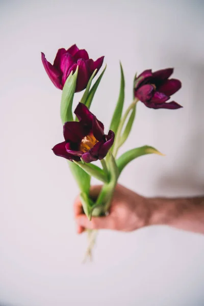 Mockup Branco Calla Flores Fundo Madeira Branco Flat Lay Fundo — Fotografia de Stock