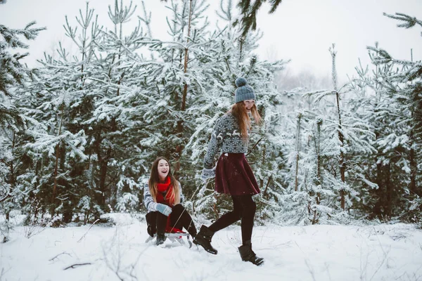 친구를 나눈다 자매의 사진을 클로즈업하고 겨울에는 스웨터를 즐거운 시간을 보내고 — 스톡 사진