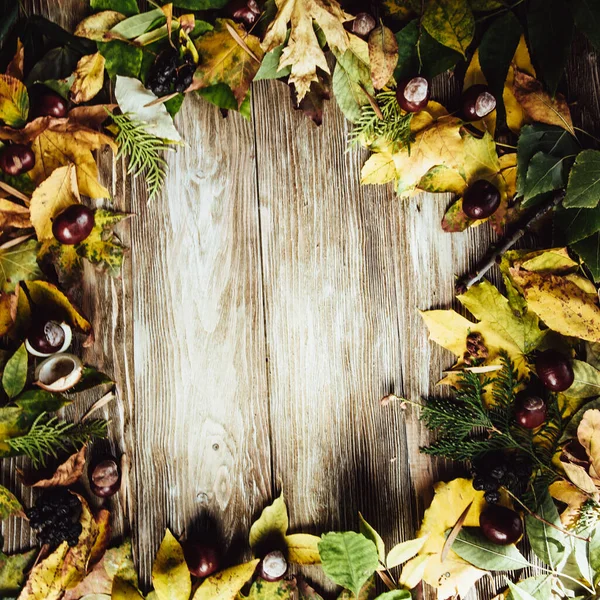 Podzimní Dřevěné Pozadí Zelenými Žlutými Listy Flatlay — Stock fotografie