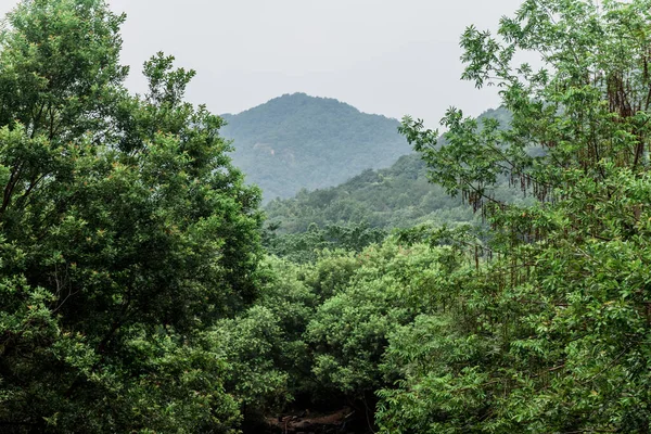 green area at Feilai Feng at the Lingyin Temple (Temple of the Soul\'s Retreat) complex. One of the largest Buddhist temples in China