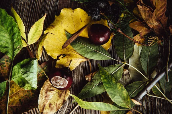 Podzimní Dřevěné Pozadí Zelenými Žlutými Listy Flatlay — Stock fotografie