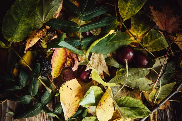 Podzimní Dřevěné Pozadí Zelenými Žlutými Listy Flatlay — Stock fotografie