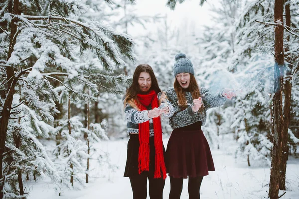 Dwie Młode Dziewczyny Hipster Hipster Close Się Moda Portret Dwóch — Zdjęcie stockowe