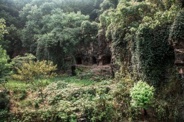 Hangzhou Hayvanat Bahçesinde Yürüyüş Patikası. Güzel doğa..