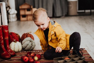 İki yaşındaki havalı hippi çocuk, sonbahar dekorunun süslü fotoğraf sahasında güzel, parlak sonbahar yapraklarıyla poz veriyor. Sıcak atmosfer