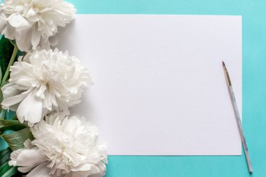 Gogreous beyaz şakayık çiçekleri ve mavi arka planda boş bir etiket. Düz yatıyordu. Kopya alanı ve Watecolor metni için fırçası olan üst görünüm. Seçici odak.