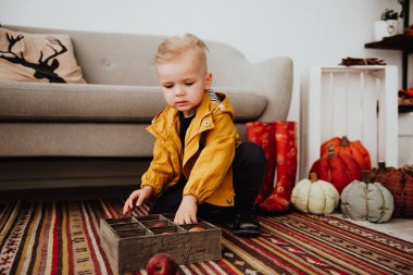 İki yaşındaki havalı hippi çocuk, sonbahar dekorunun süslü fotoğraf sahasında güzel, parlak sonbahar yapraklarıyla poz veriyor. Sıcak atmosfer