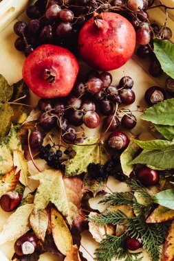 Sonbahar hala hayattır. elma, balkabağı, nar, viburnum, yapraklar.