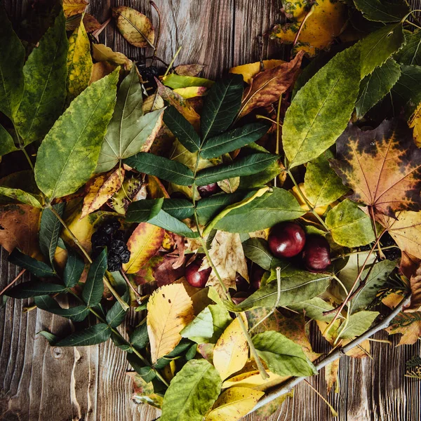 Podzimní Dřevěné Pozadí Zelenými Žlutými Listy Flatlay — Stock fotografie