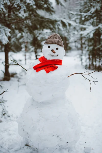 Snowman Standing Winter Landscape — Stock Photo, Image