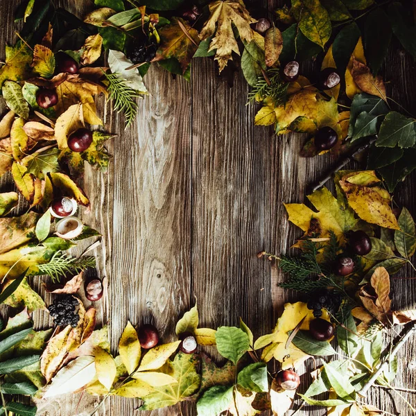 Podzimní Dřevěné Pozadí Zelenými Žlutými Listy Flatlay — Stock fotografie