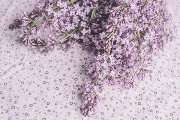 Voorjaarsbloemen Lila Bloemen Witte Houten Achtergrond Bovenaanzicht Vlak Met Kopieerruimte — Stockfoto