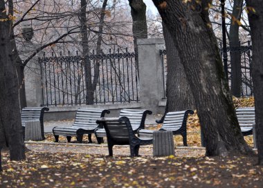 Altın sonbahar park