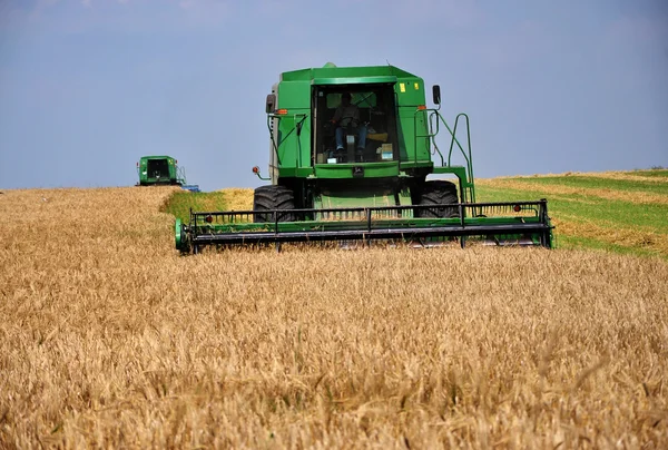 Сбор пшеницы в поле _ 3 — стоковое фото