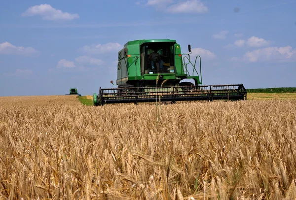 Сбор пшеницы в поле _ 2 — стоковое фото