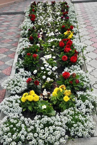 Fazendo canteiros de flores de rua — Fotografia de Stock