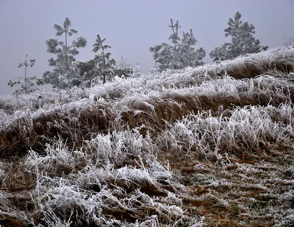 Зимний пейзаж с морозом _ 11 — стоковое фото
