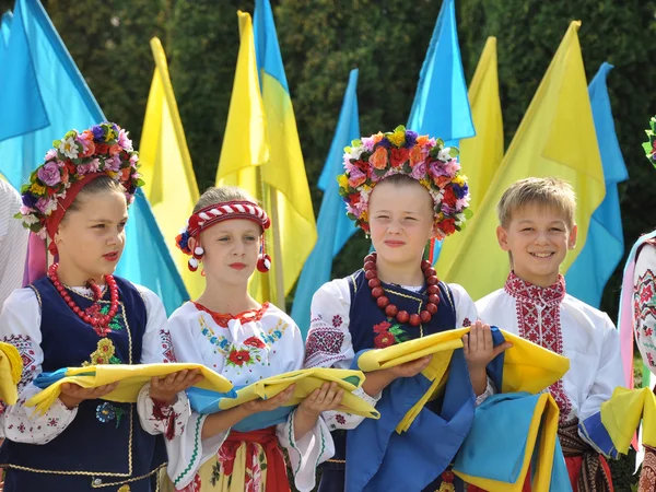 День Государственного флага Украины _ 11 — стоковое фото