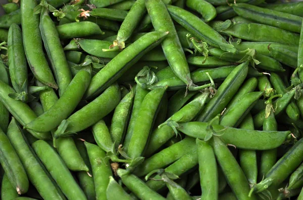 ポッド内の緑のエンドウ豆 — ストック写真