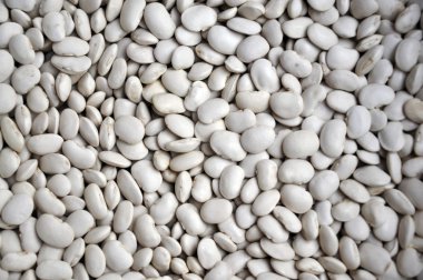 Bir büyük beyaz beans_3