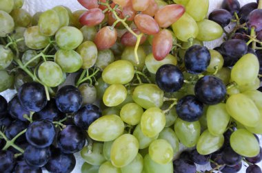 Farklı varieties_5 üzüm