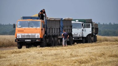 Tahıl field_2 taşıma