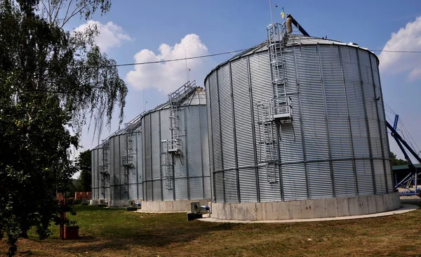 Silos para armazenar grain _ 2 — Fotografia de Stock