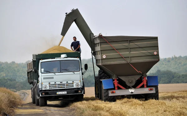 Вивантаження зерна з бункера Конвеєри на вантажівки — стокове фото