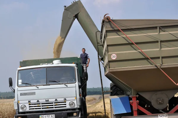 Вивантаження зерна з бункера Конвеєри на truck_2 — стокове фото