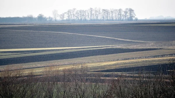 Paysage rural du printemps _ 2 — Photo