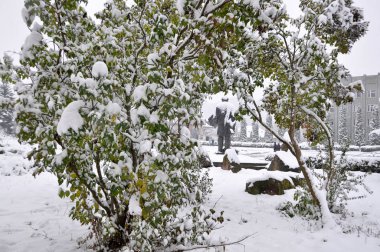 İlk beyaz kar üzerinde yeşil leaves_4