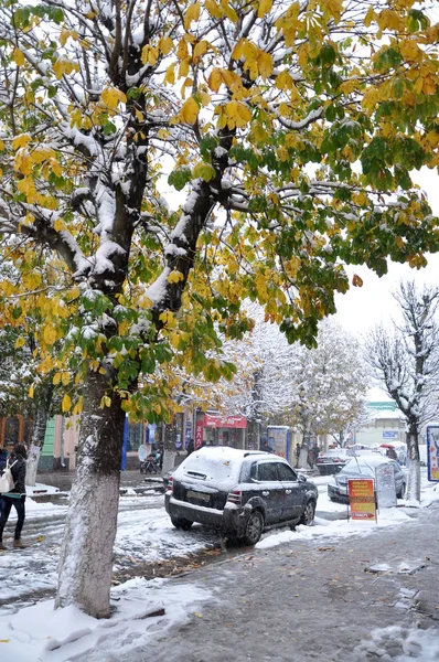 White snow on green leaves — Stock fotografie